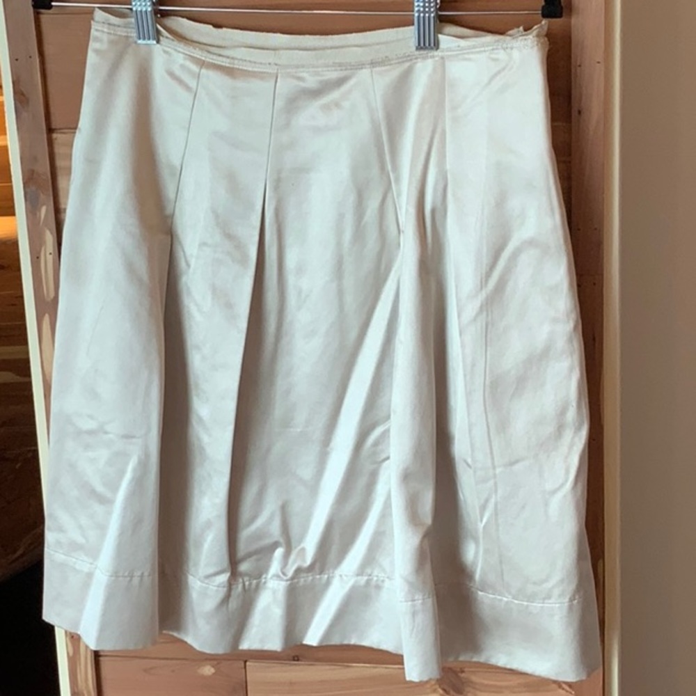 BCBG skirt